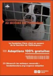 Urgence adoption d'animaux à la fourrière de Vallérargues  (1/1)