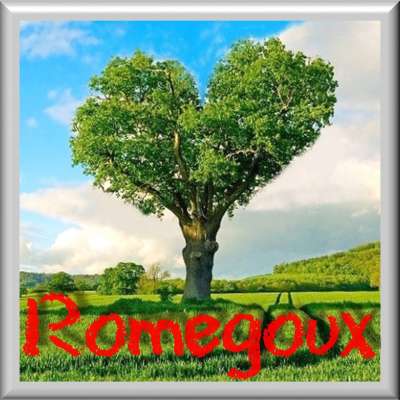 Logo Romegoux
