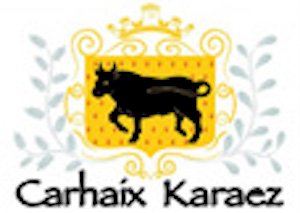 Logo Carhaix-Plouguer, 29270