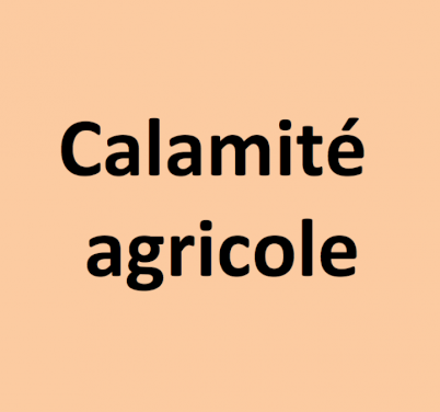 Grêle 2023 - pertes de récoltes d'abricots, pêches et nectarines (1/1)