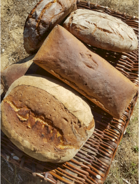 Livraison de pain : N'oubliez pas votre pain, commandez aujourd'hui ! (1/2)