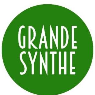 Logo Grande-Synthe, 59760