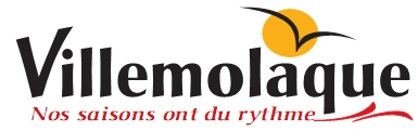 Logo Villemolaque
