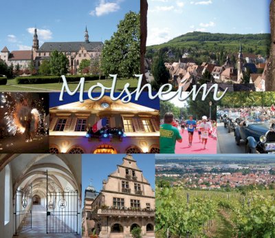 Logo Molsheim