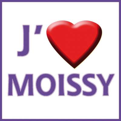 Logo Moissy-Cramayel, 77550