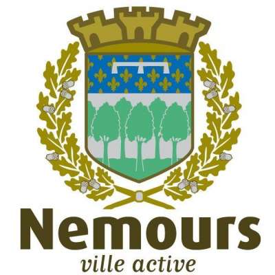 Logo Nemours, 77140