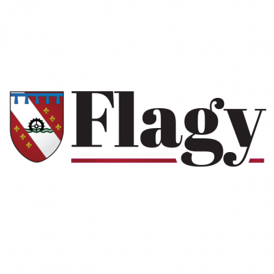 Logo Flagy, 77940