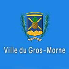 Logo Gros-Morne, 97213