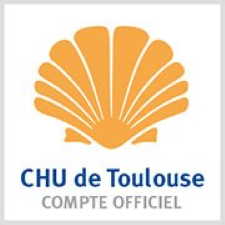 Toulouse - Logo