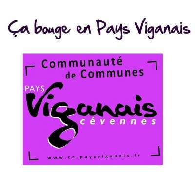 Logo CC du Pays Viganais