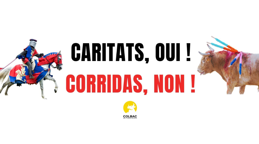 Traditions : Caritats OUI, corridas NON !  (1/2)